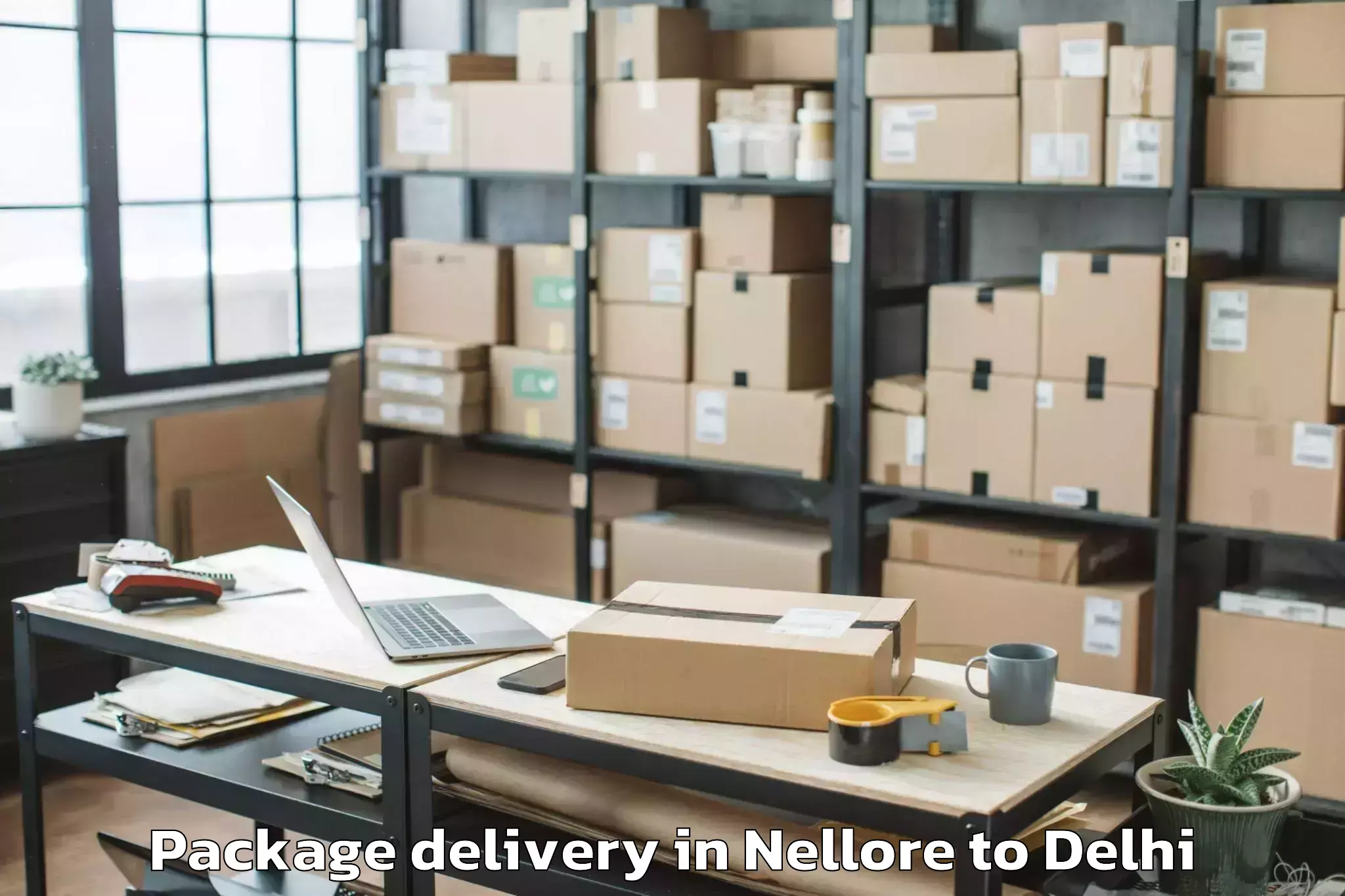 Expert Nellore to Delhi Technological University Package Delivery